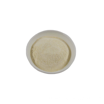 High purity garlic powder